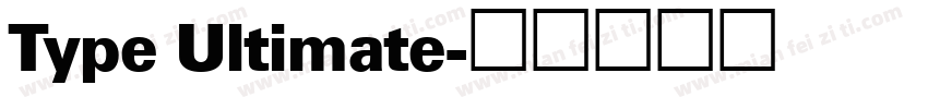 Type Ultimate字体转换